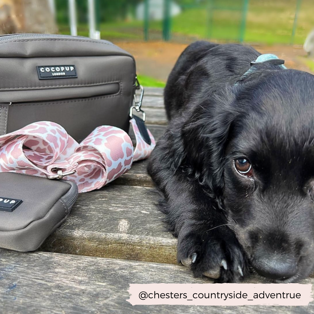 Bolsa para pasear perros - Moka