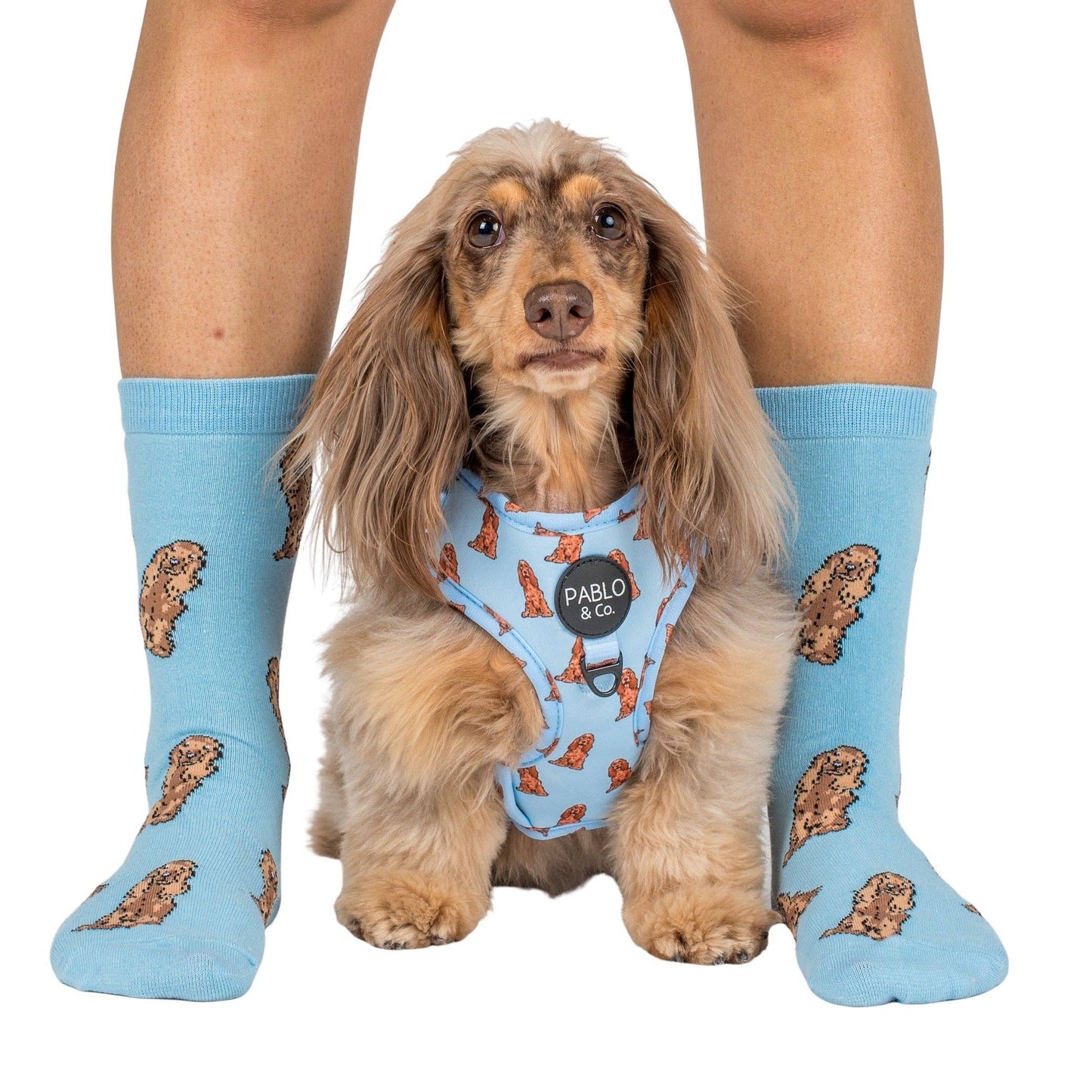 Chaussettes Dog Race: Teckel rose