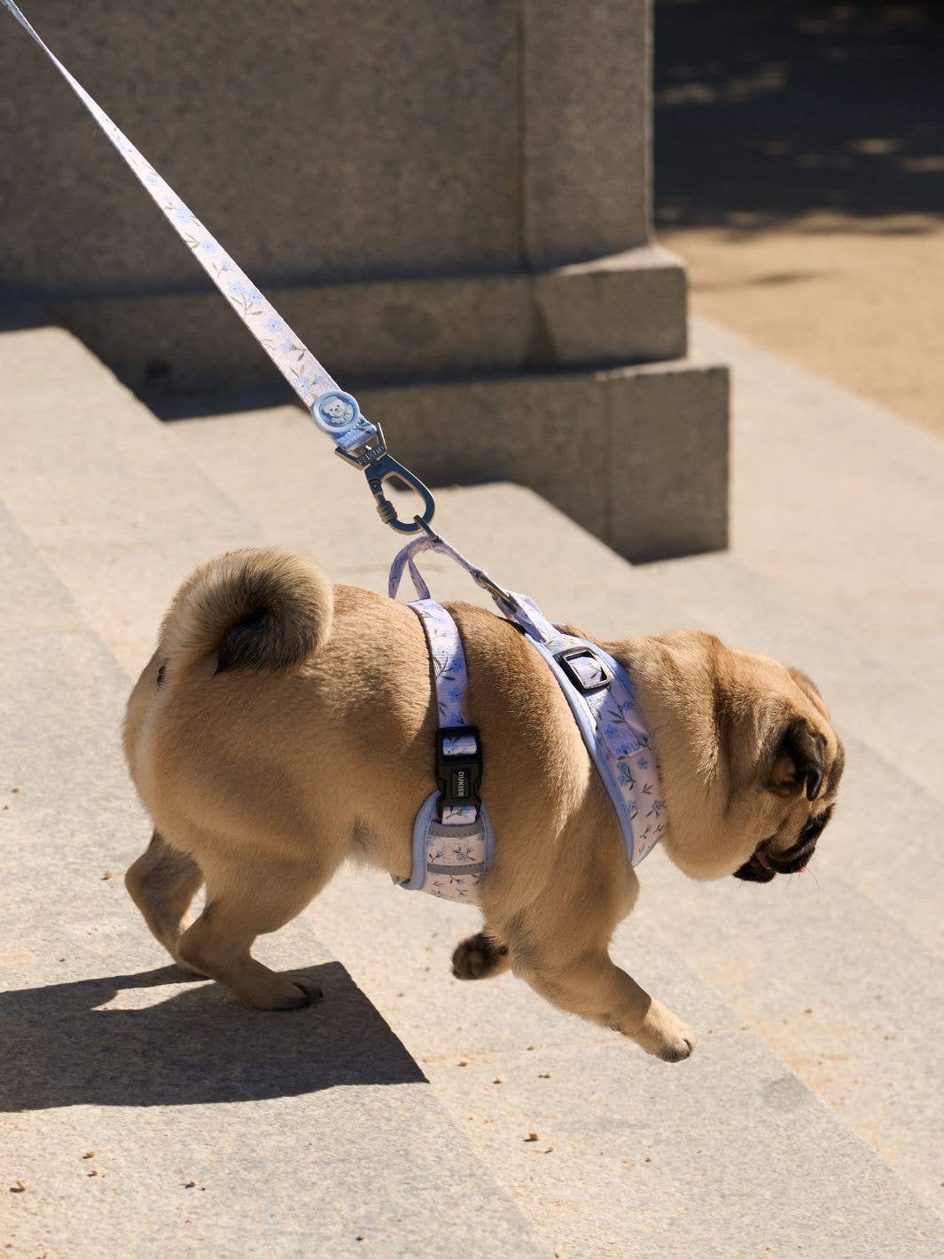 Harnais ajustable pour chien Bloom : S