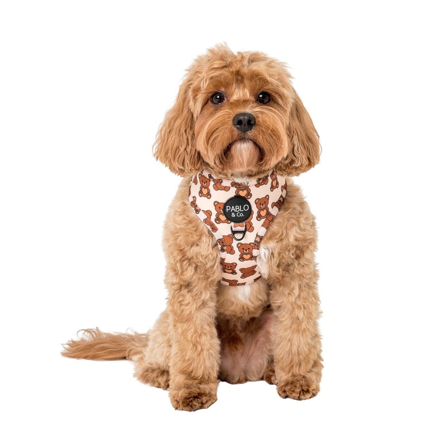 Teddy Bears Picnic: ARNÉS AJUSTABLE PARA PERRO