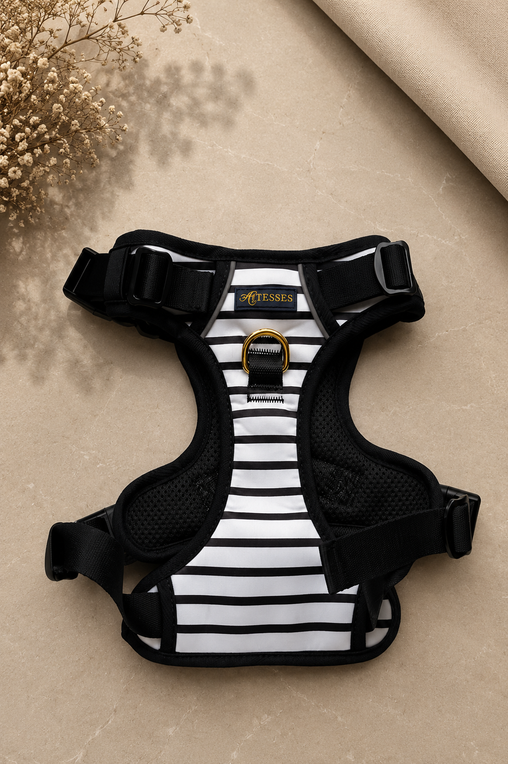 PEDIDO ANTICIPADO EXCLUSIVO - Sens Breton