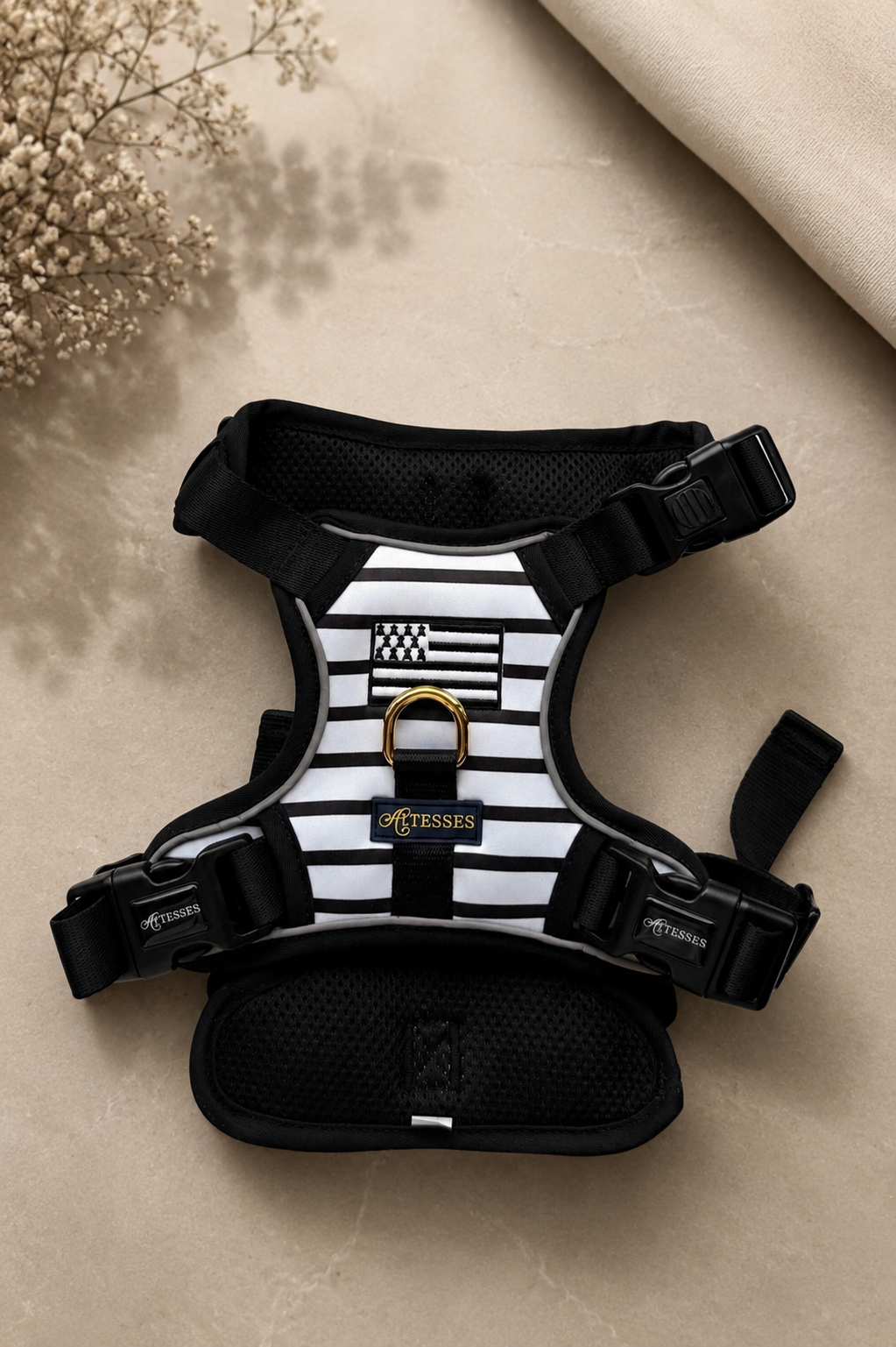 PEDIDO ANTICIPADO EXCLUSIVO - Sens Breton