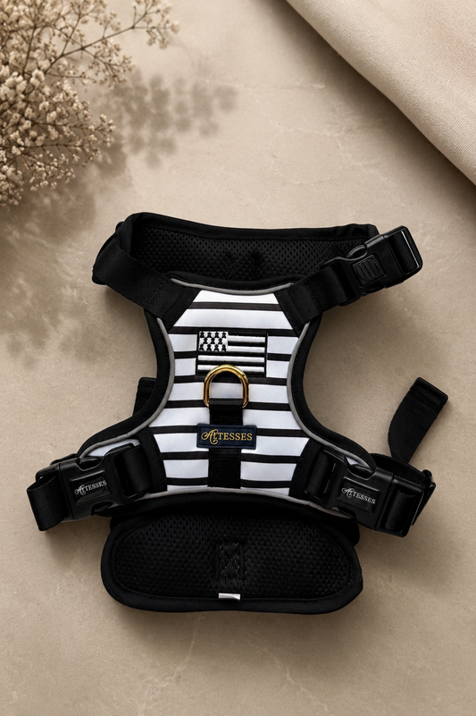 PEDIDO ANTICIPADO EXCLUSIVO - Sens Breton
